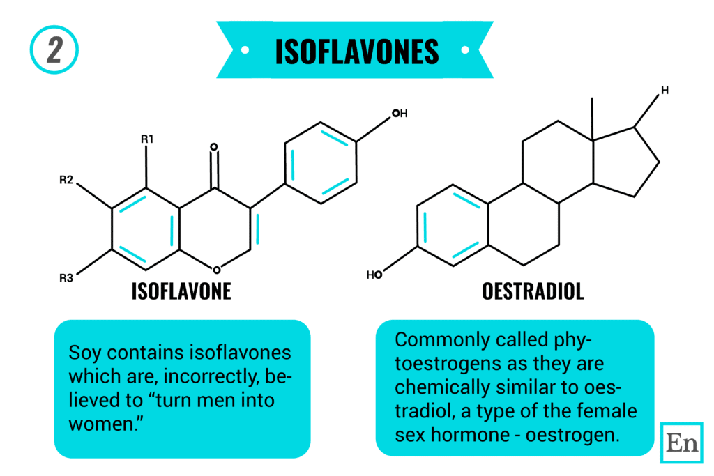 Soy and Estrogen Does Soy Make Men Grow Breasts? Element Nutrition