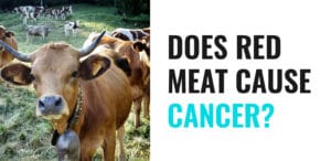 Does Red Meat Cause Cancer? - Picture of a Cow