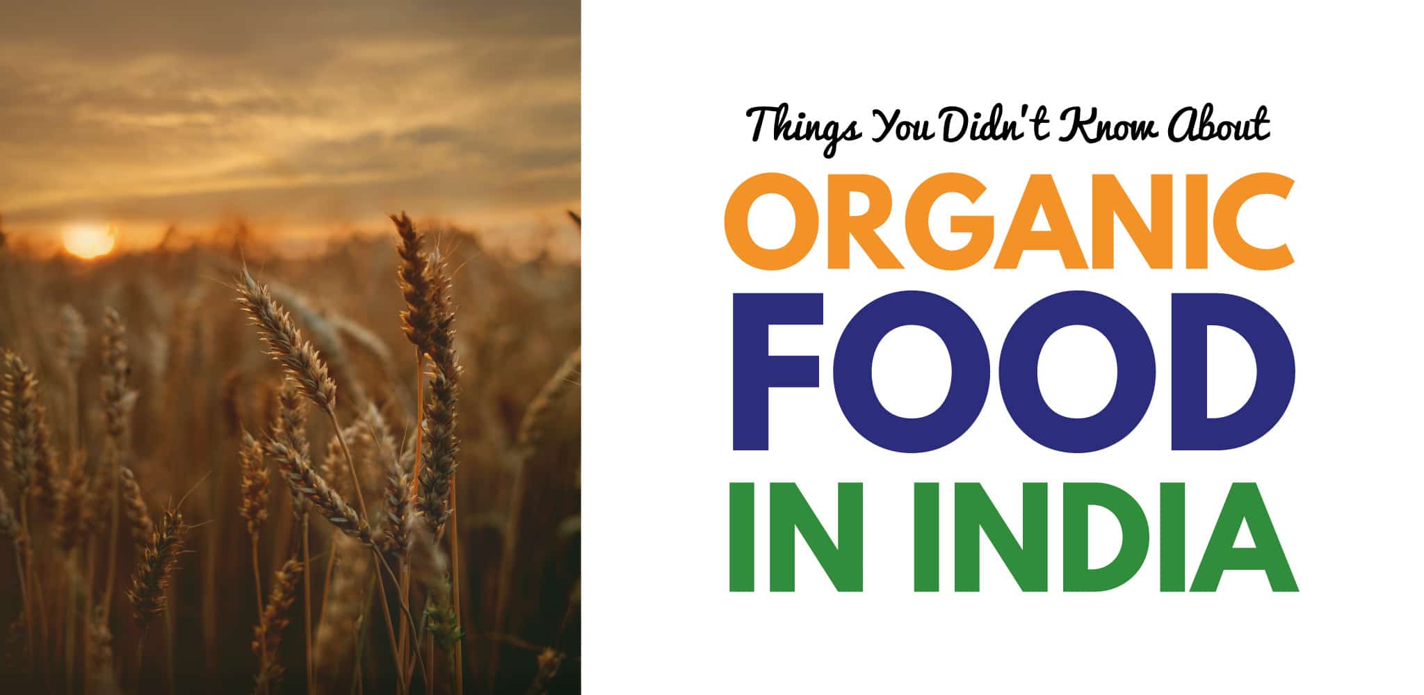 Organic Food in India Creative
